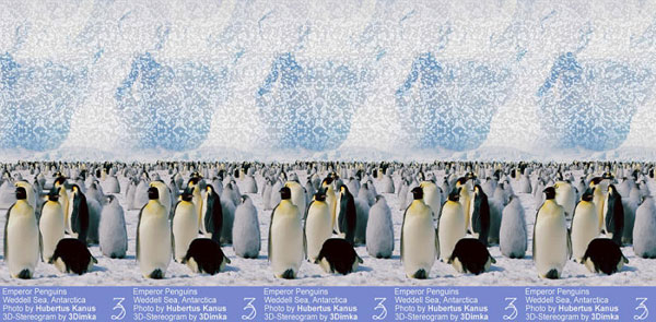 Stereogram_3dimka_emperor_penguins